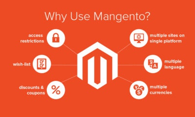 Top 10 reasons for the popularity of Magento Top 10 reasons for the popularity of Magento